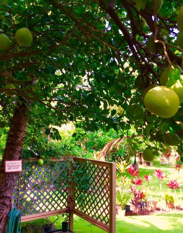 Nona Lani Cottages Kihei Bagian luar foto