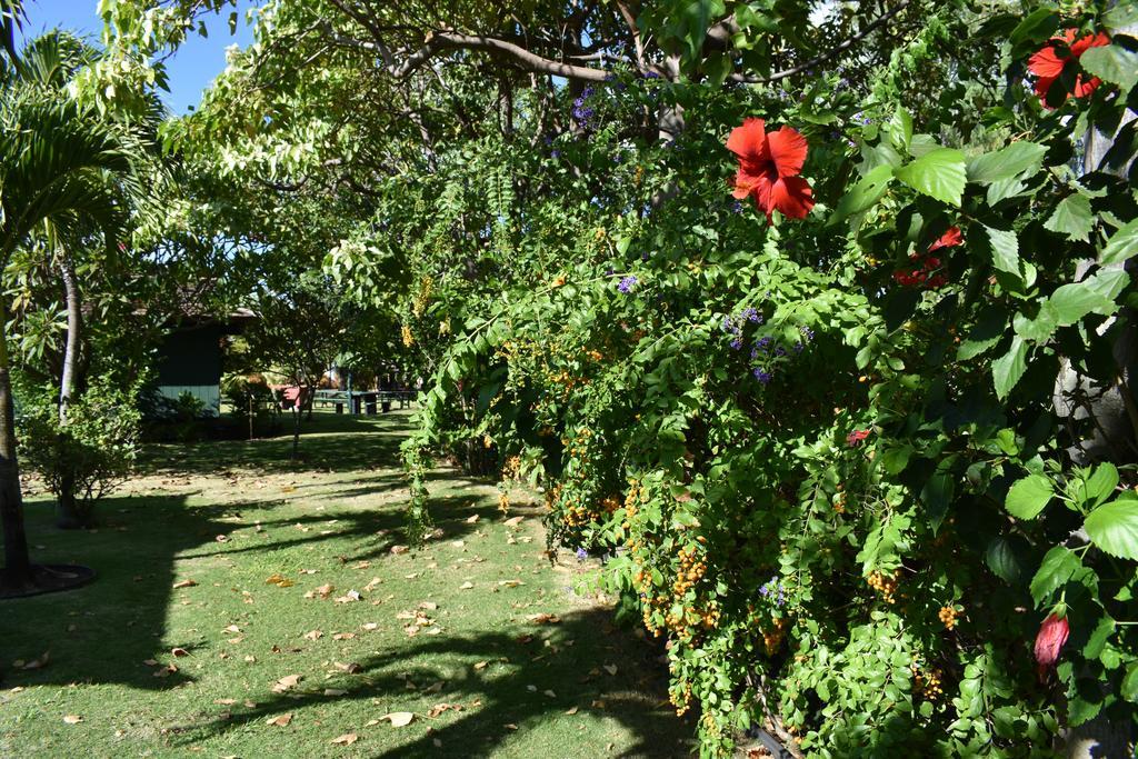 Nona Lani Cottages Kihei Bagian luar foto