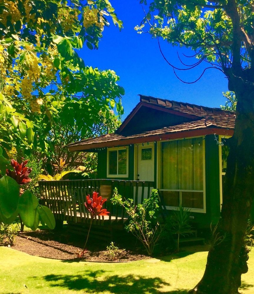 Nona Lani Cottages Kihei Bagian luar foto