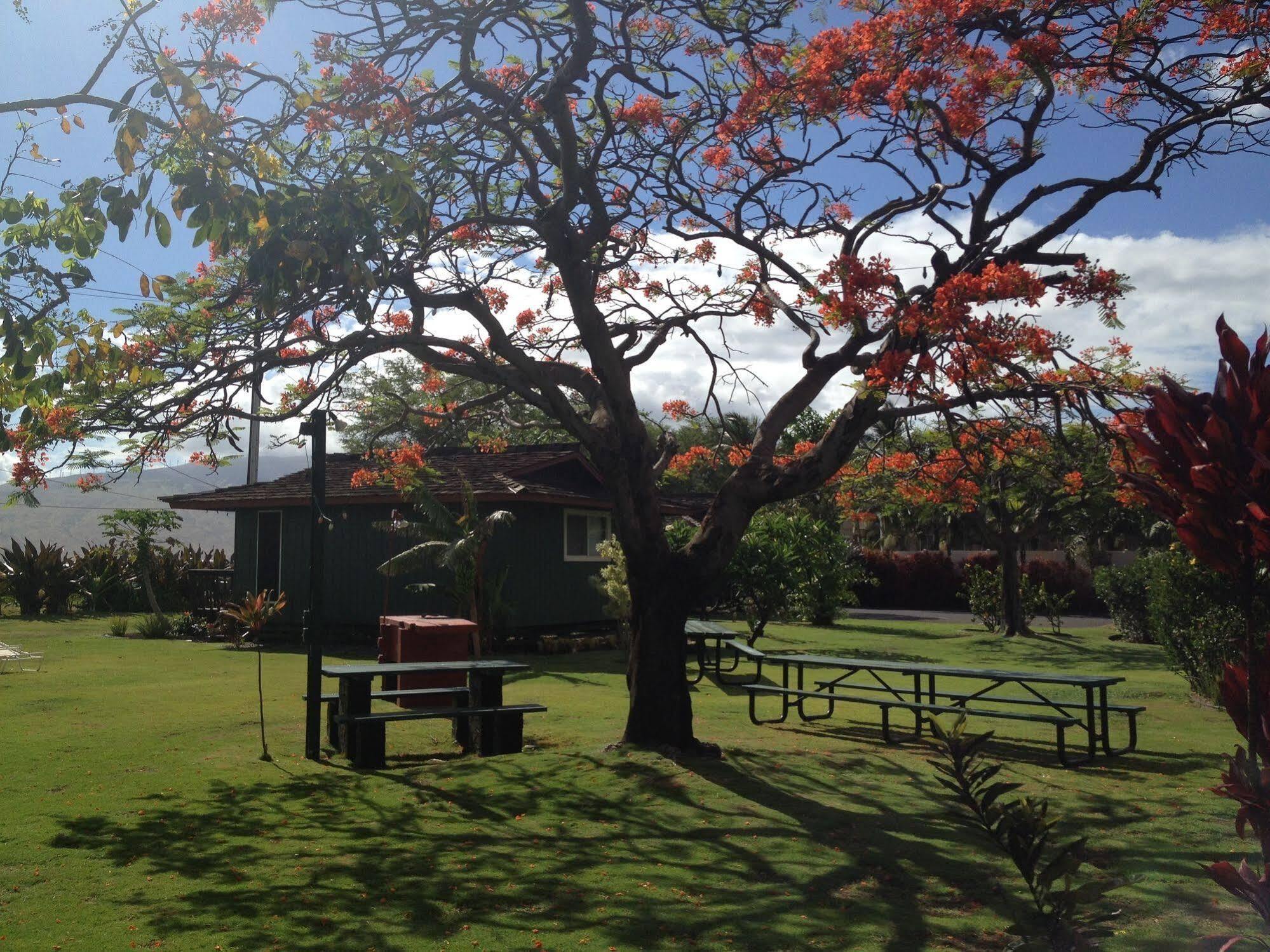 Nona Lani Cottages Kihei Bagian luar foto